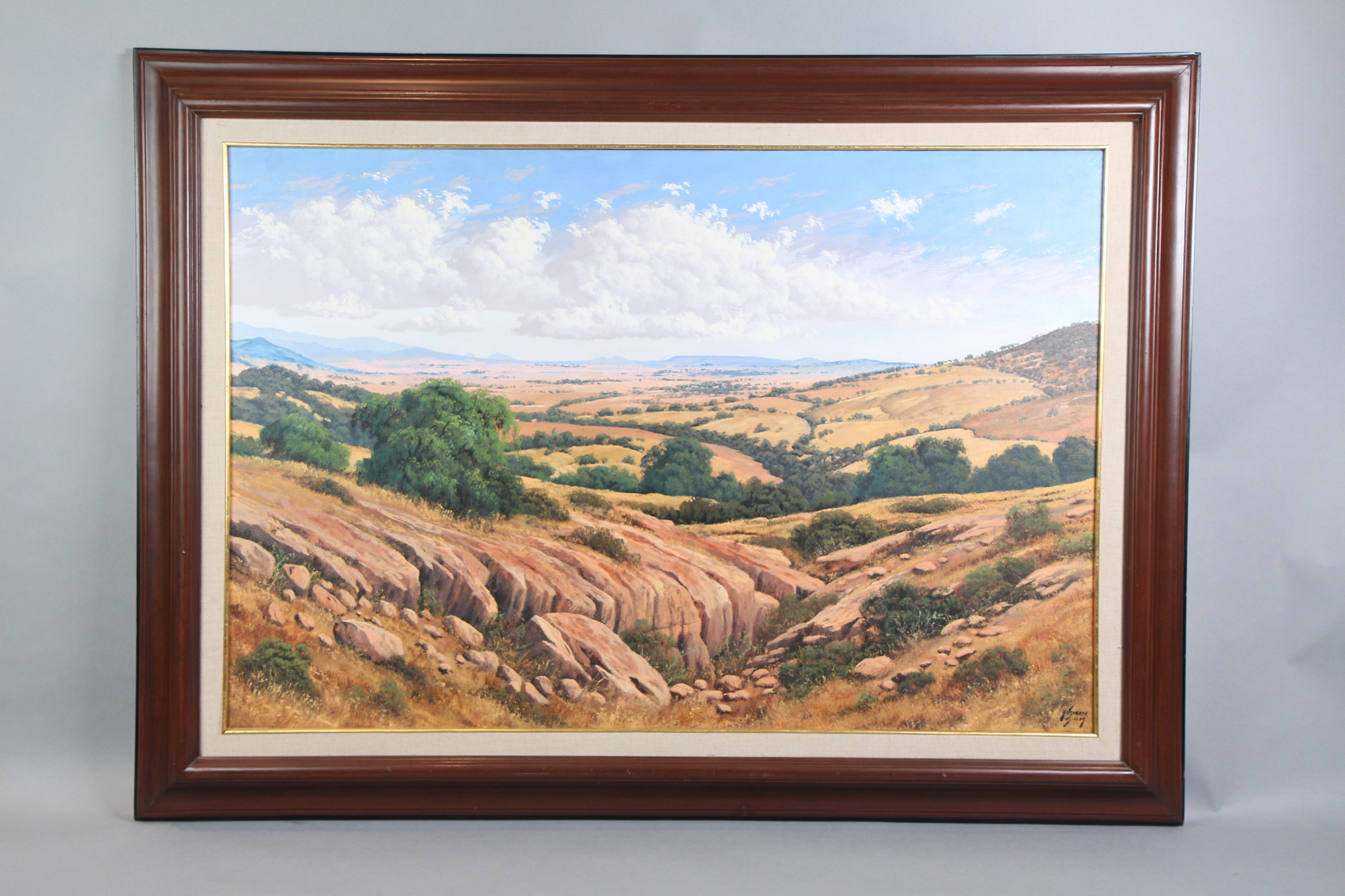 PAISAJE MARAVATIO